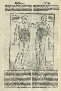Incunabula volume, 1496
